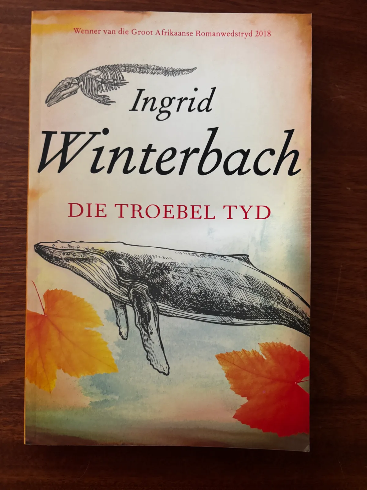 Die Troebel Tyd - Ingrid Winterbach
