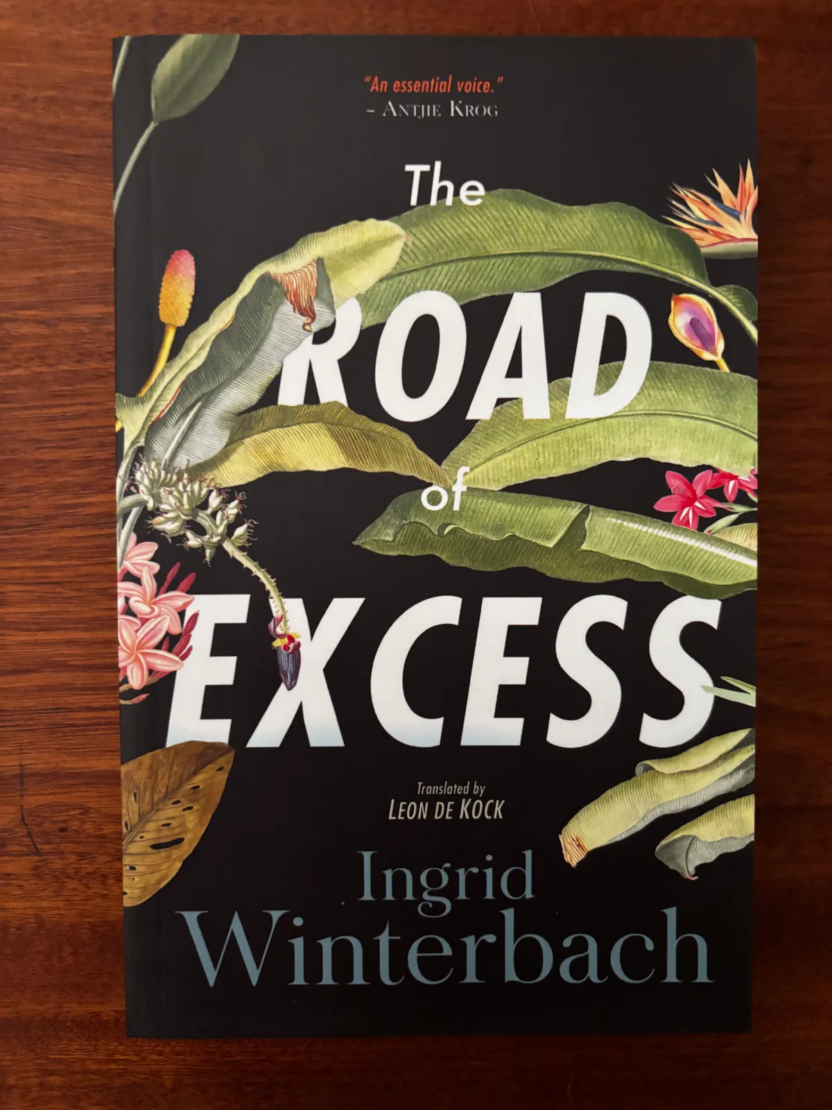 The Road of Excess - Ingrid Winterbach