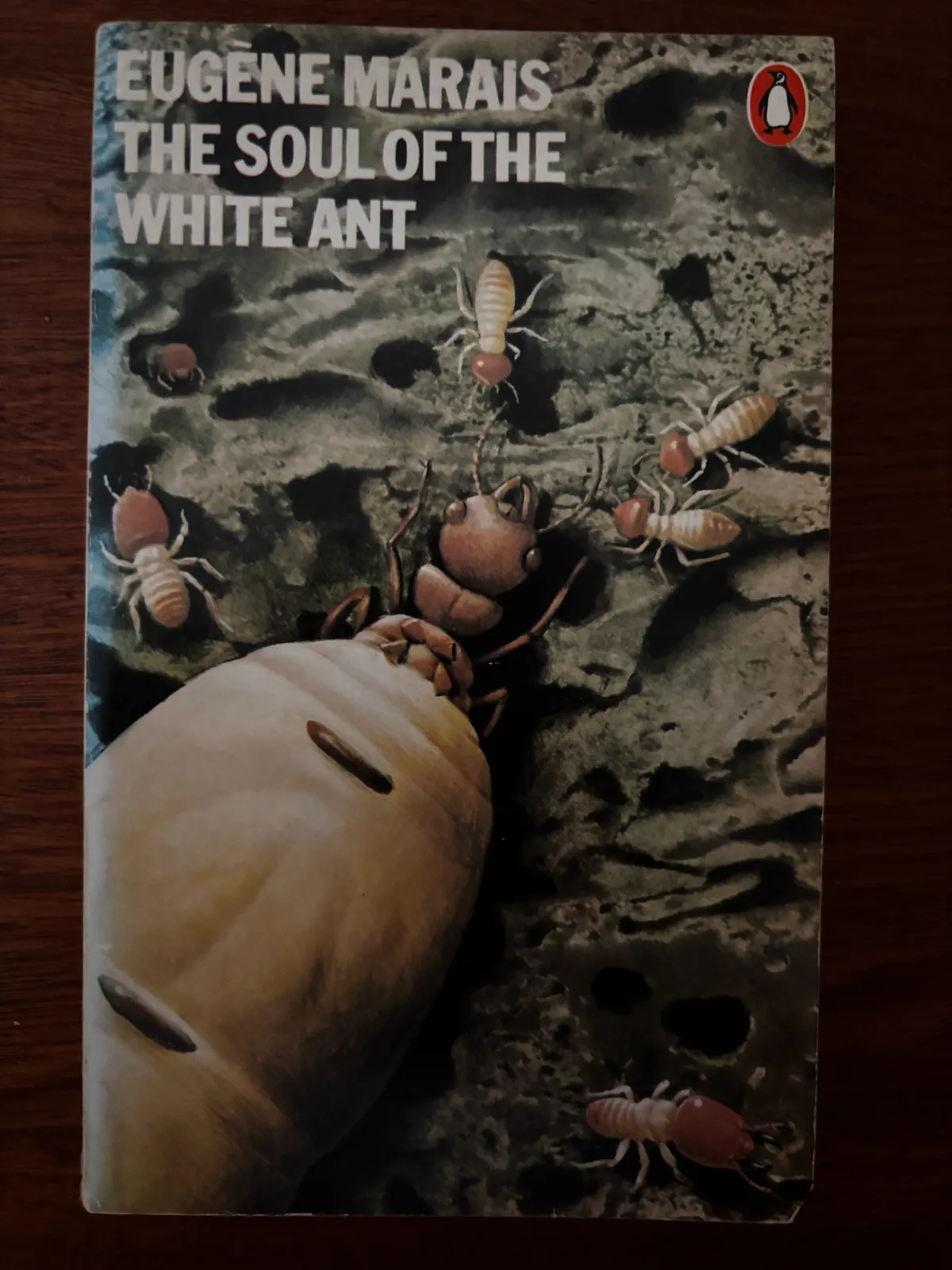 The Soul of the White Ant - Eugène Marais