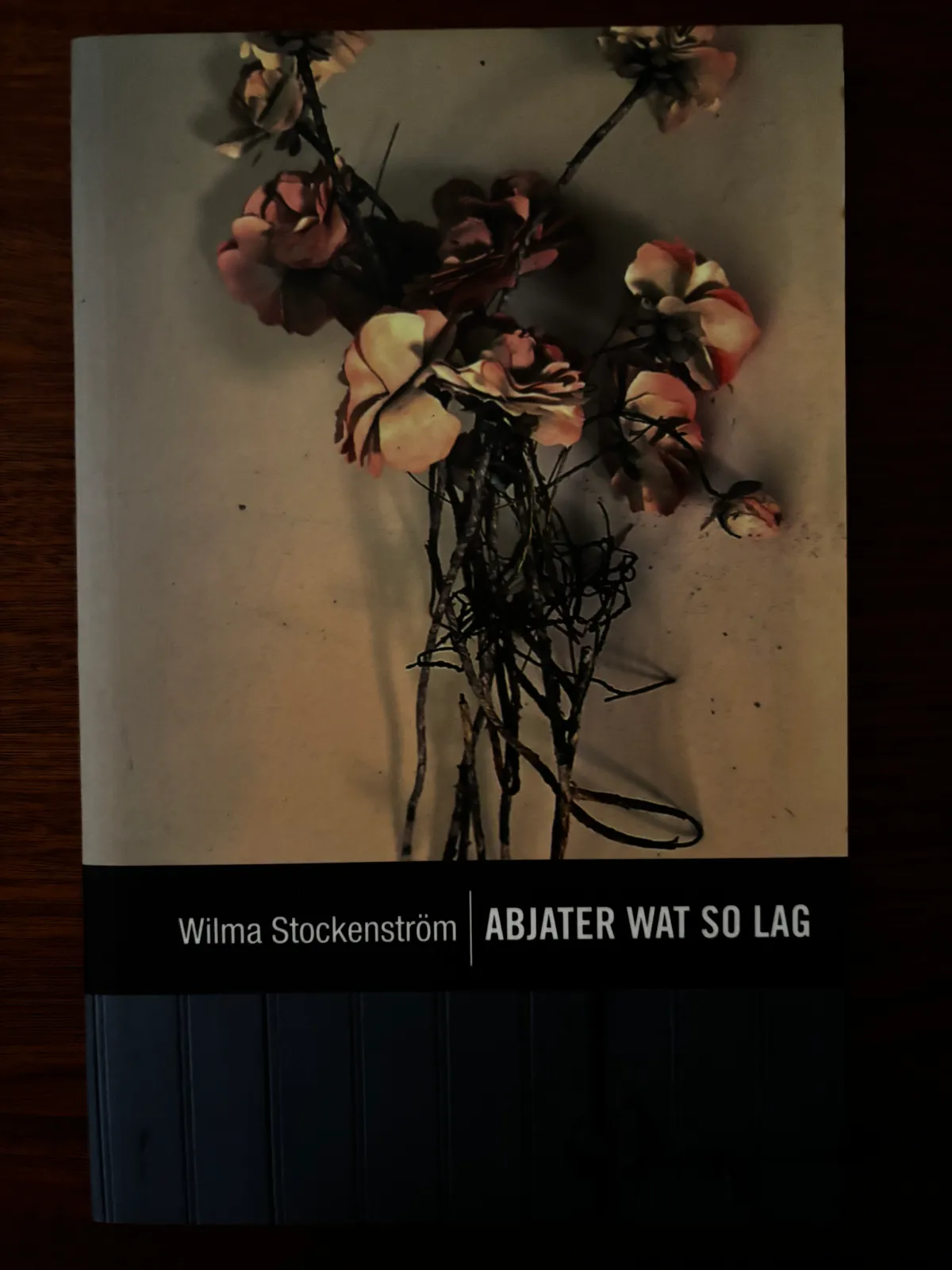 Abjater wat so lag - Wilma Stockenstrom