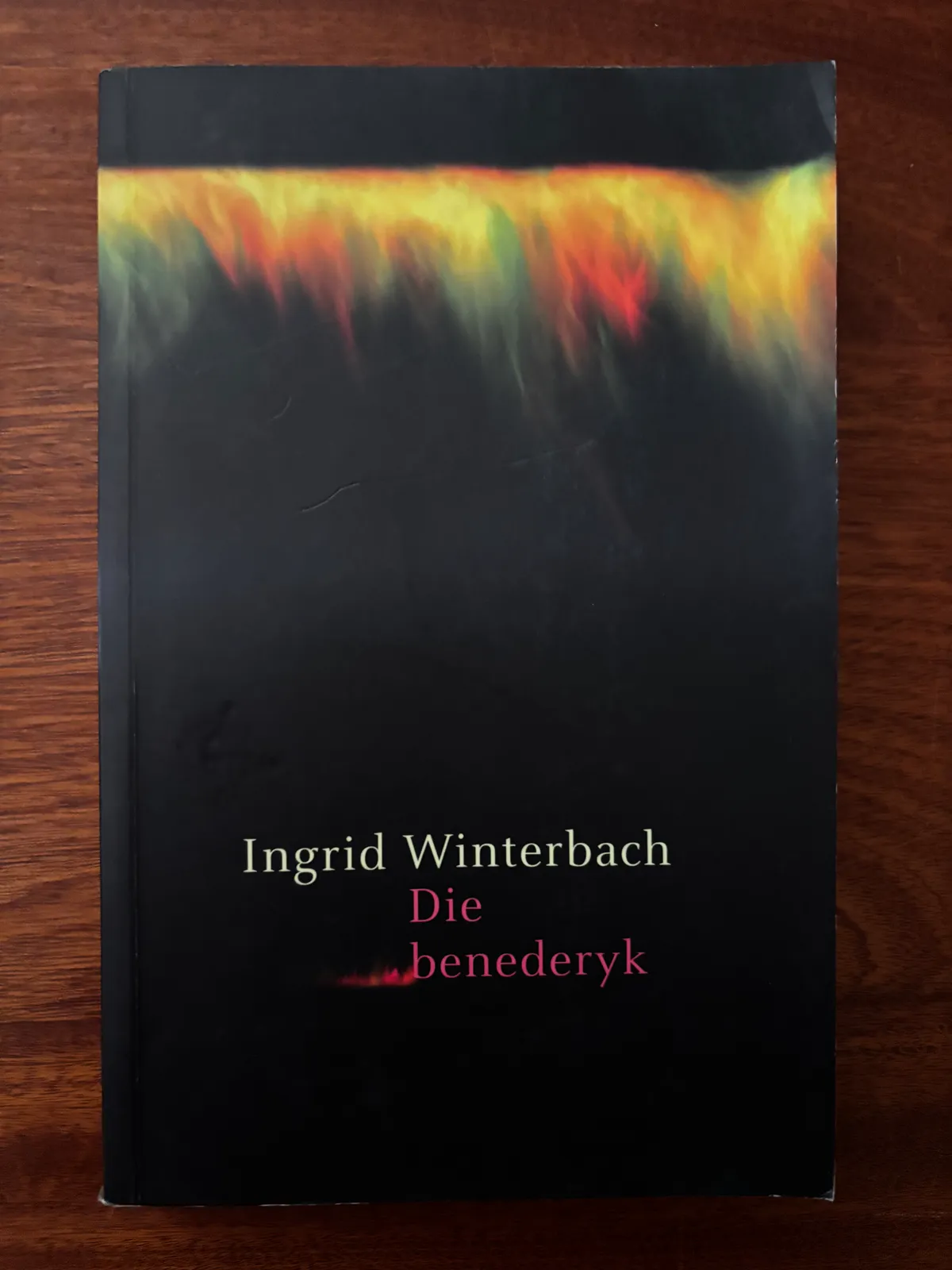 Die Benederyk - Ingrid Winterbach