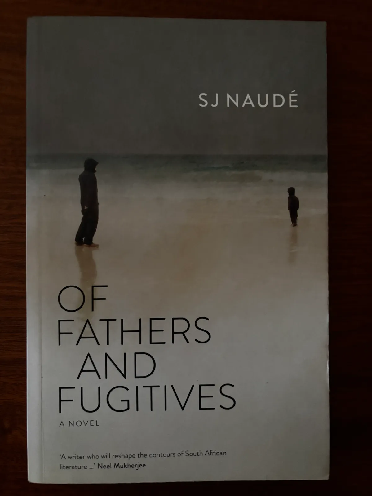 Of Fathers and Fugitives - S. J. Naudé