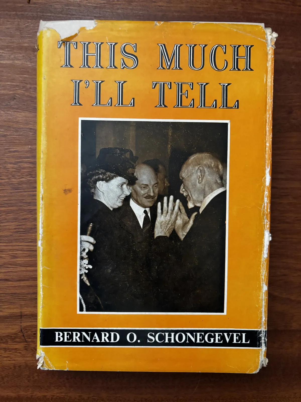 This Much I'll Tell - Bernard O. Schonegevel