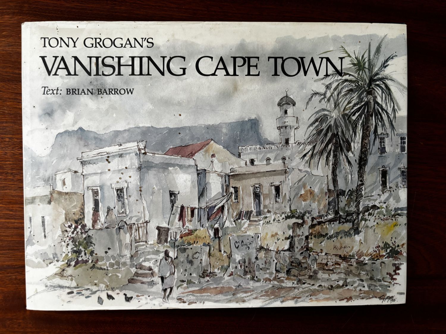 Tony Grogan's Vanishing Cape Town — text by Brian Barrow