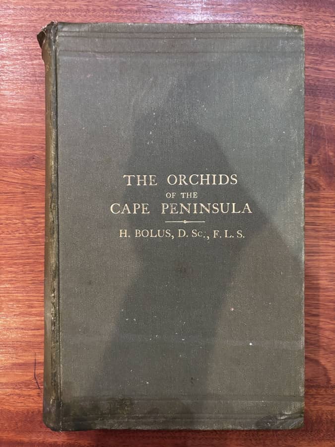 The Orchids of the Cape Peninsula — Harry Bolus (Second Edition, 1918)