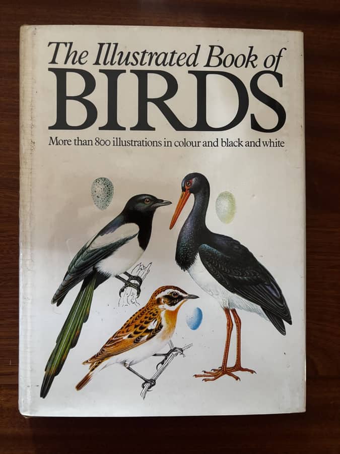 The Illustrated Book of Birds