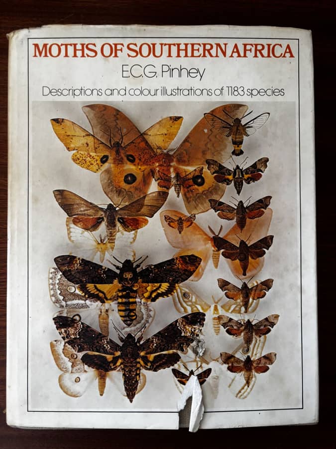 Moths of Southern Africa — E. C. G. Pinhey