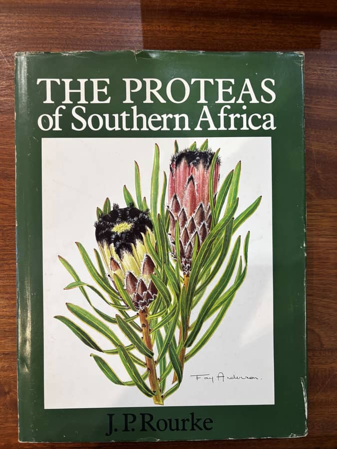The Proteas of Southern Africa — J. P. Rourke